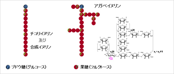 アガベイヌリンの特徴